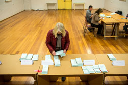 Lady sorting ballot papers